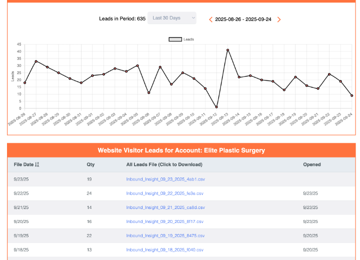 Analytics view showing website visitor leads data